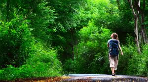 نقش گیاهان در كاهش آلودگی صدا